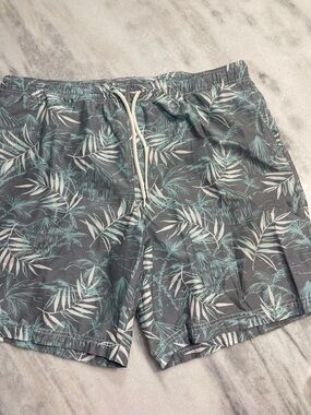 Caribbean Gray Swim Trunks with Teal Leaf Print